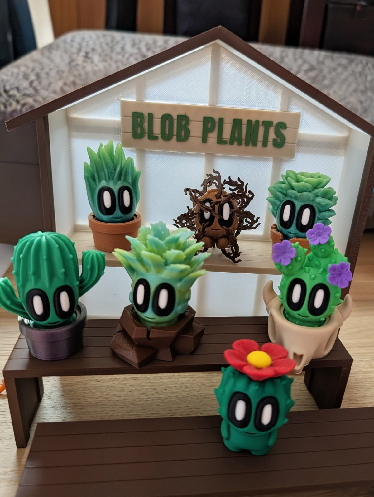 Cactus Buddies