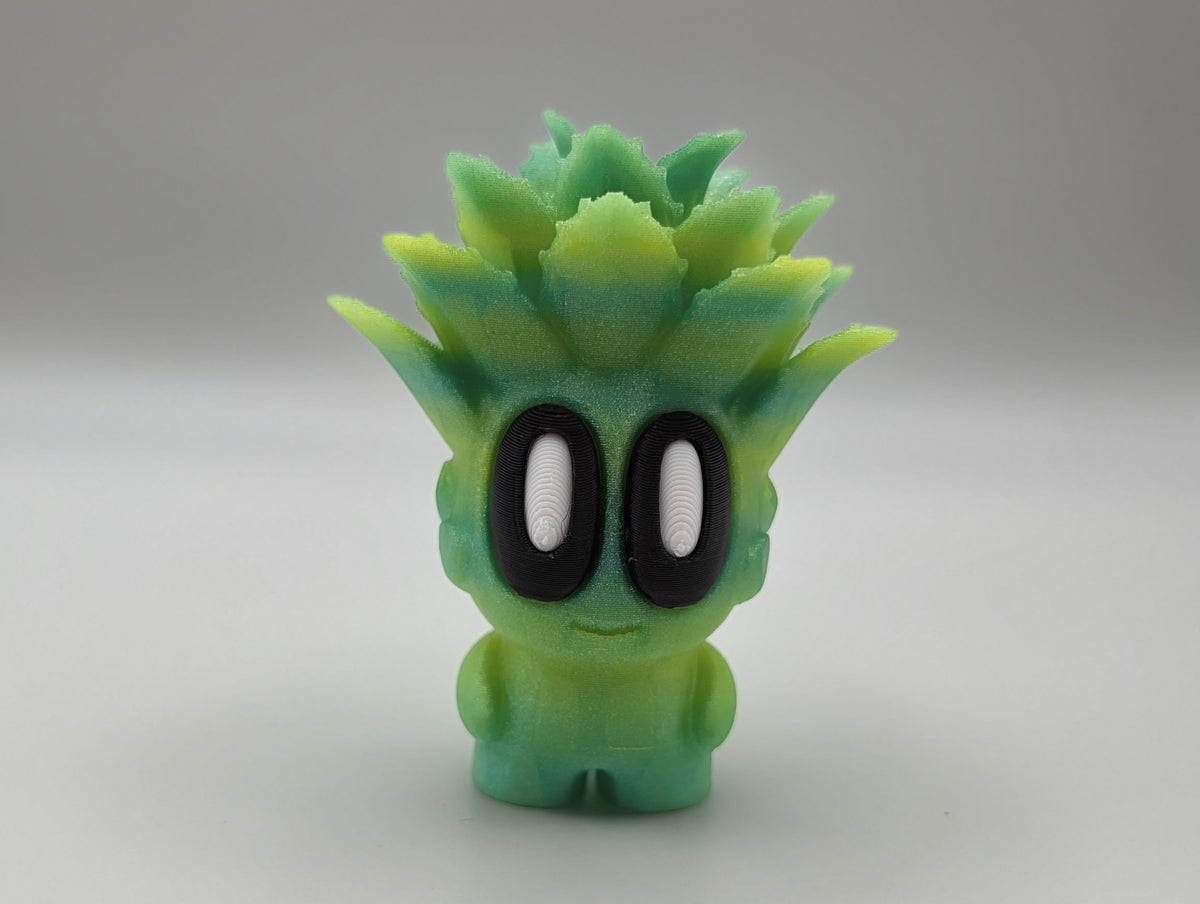 Cactus Buddies