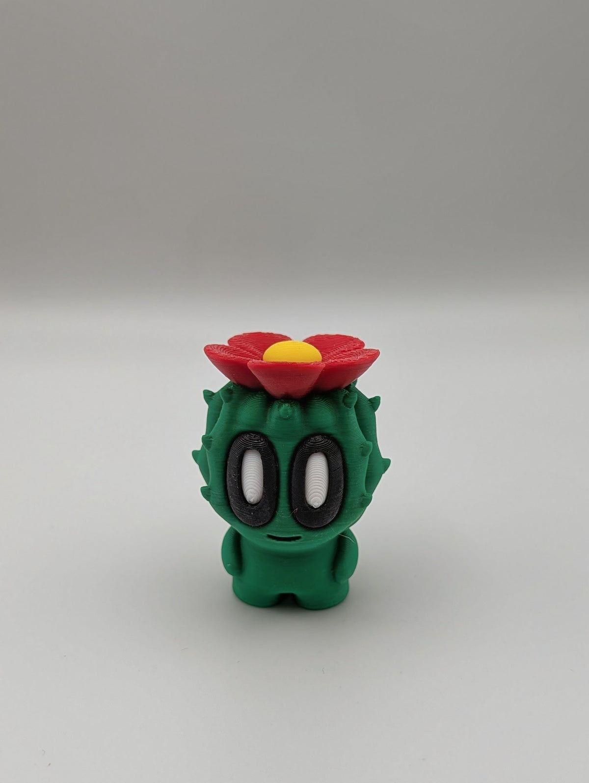 Cactus Buddies