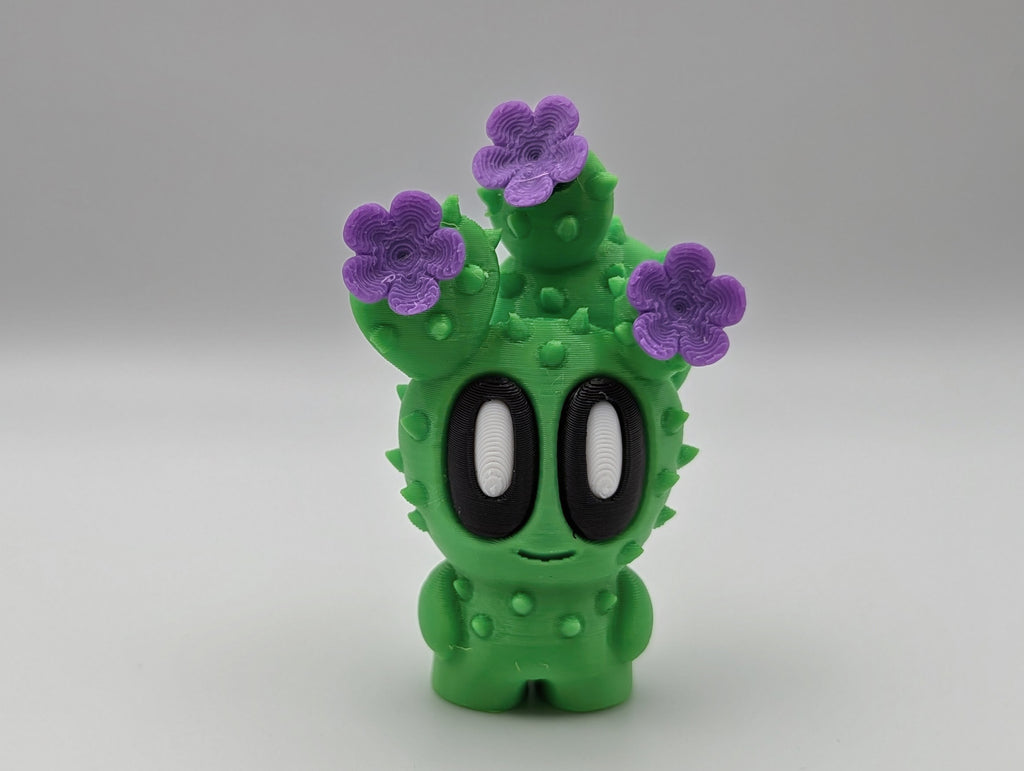 Cactus Buddies