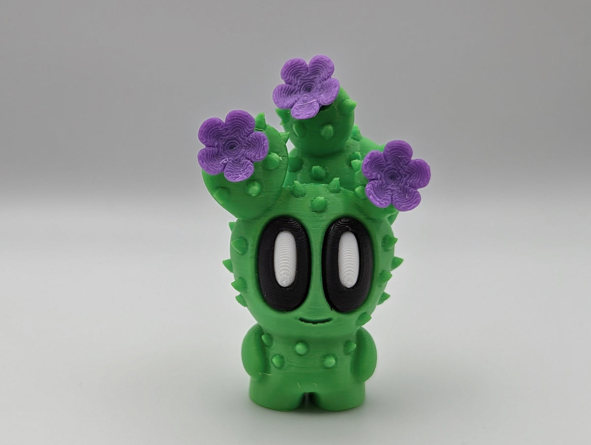 Cactus Buddies