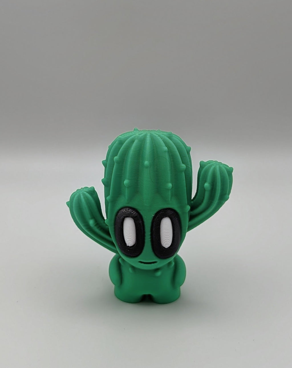 Cactus Buddies