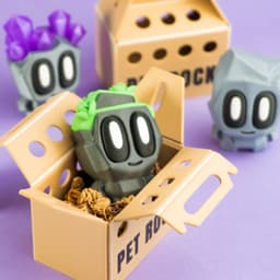 Pet Rock Blind Box