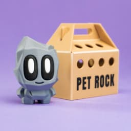 Pet Rock Blind Box