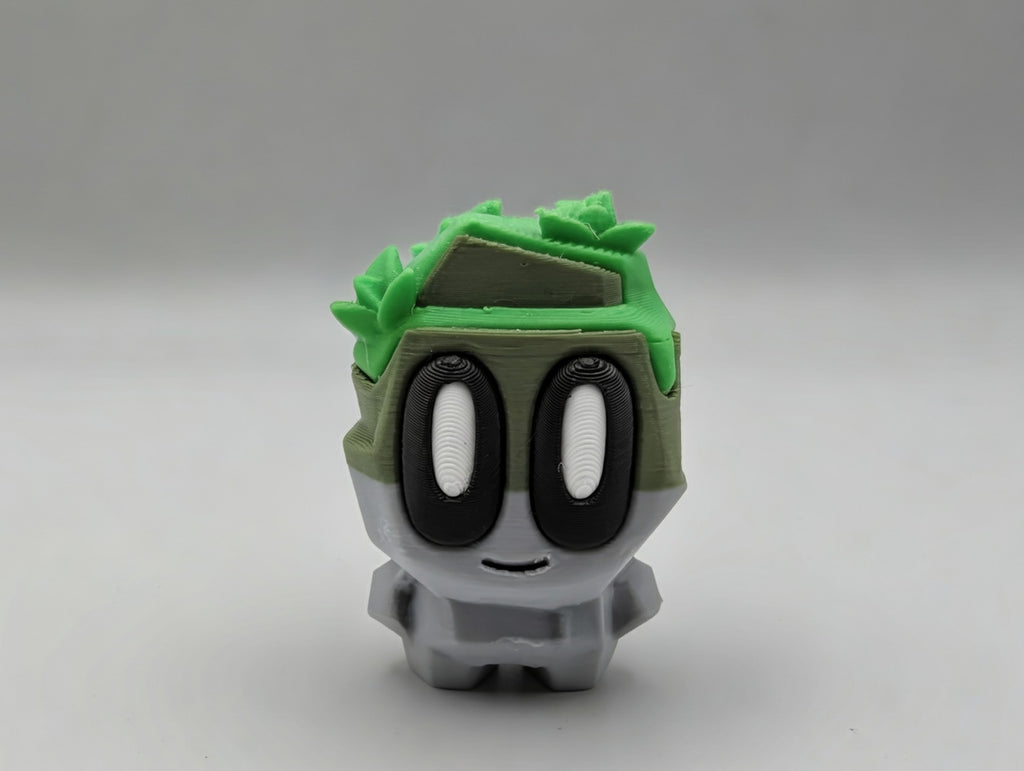 Pet Rock Bundle
