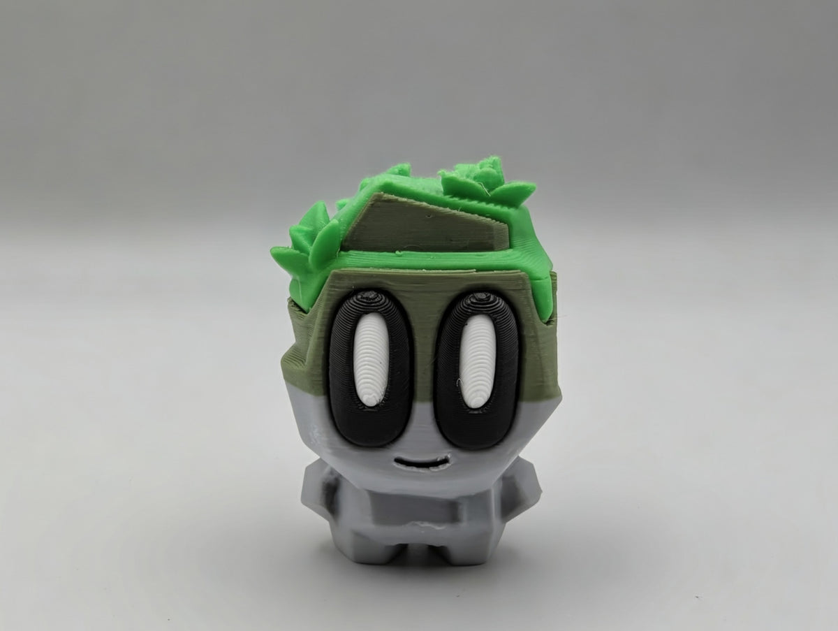 Pet Rock Bundle